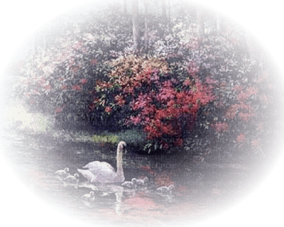 loly33 cygne - Free PNG