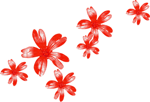 Flowers.Red - ücretsiz png