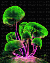 champignon fluo - Zdarma animovaný GIF