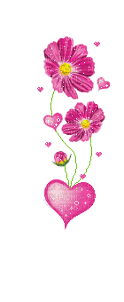 fleurs roses - GIF animado grátis