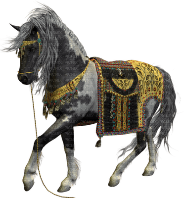 Kaz_Creations Animals Horses Horse - zdarma png