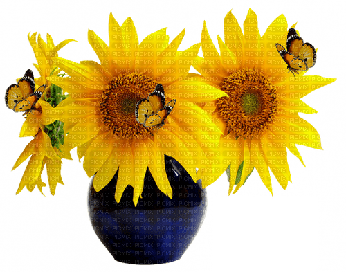vase with yellow sunflowers butterflies  sunshine3 - darmowe png