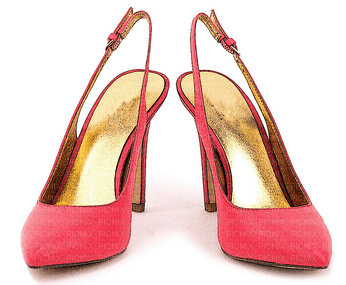 kenkä vaate shoe garment - Free PNG