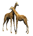 giraf - Ingyenes animált GIF