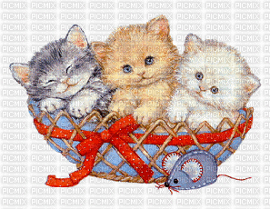 trois mignons chatons - Nemokamas animacinis gif