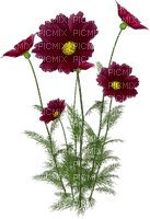 dulcineia8 flores - png ฟรี
