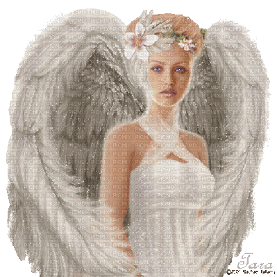 Femme Angel - Nemokamas animacinis gif