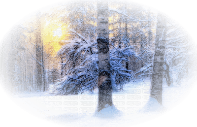 Winter Backgrounds - bezmaksas png
