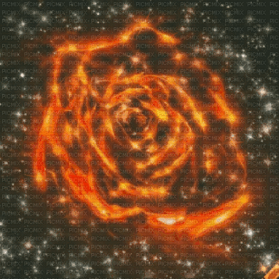 Orange Ethereal Galaxy Rose - Zdarma animovaný GIF