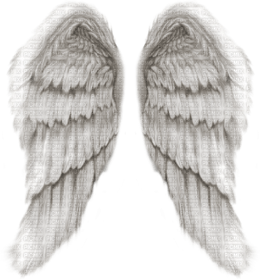 angle wing - Free PNG