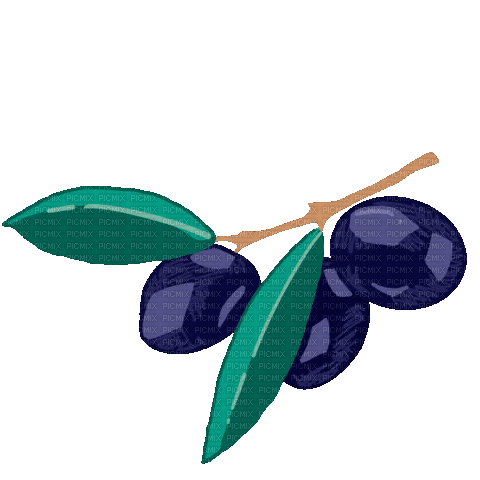Olives animated - Bezmaksas animēts GIF