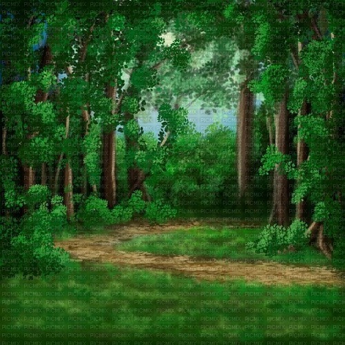 nature background forest - бесплатно png