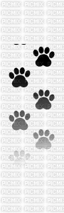 Animated cat dog walking pawprint paw prints gif - Zdarma animovaný GIF