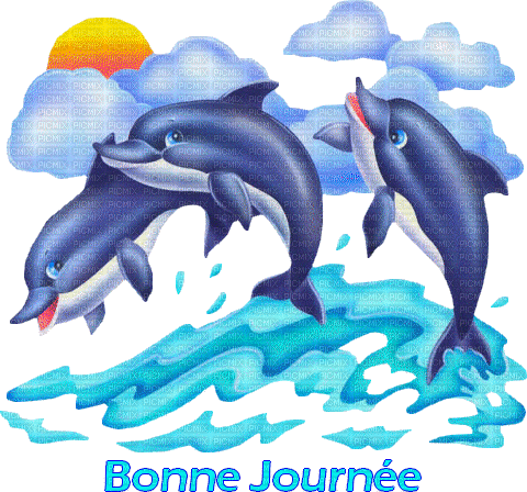 dauphins - Ilmainen animoitu GIF