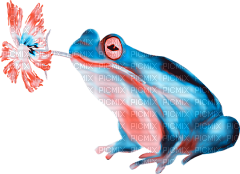 soave deco frog flowers  blue orange - 無料png
