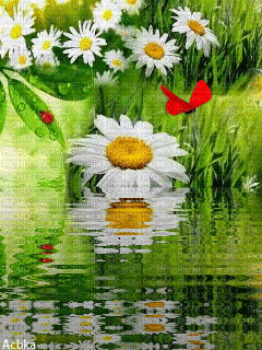 image encre animé effet papillon fleurs edited by me - Kostenlose animierte GIFs
