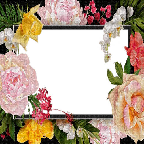 spring  frame  by nataliplus - Free PNG