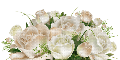 white roses deco sunshine3 - PNG gratuit