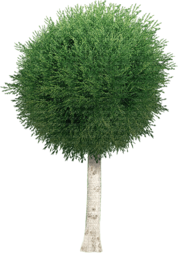 tree_Blue DREAM - kostenlos png