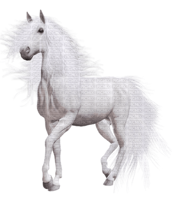 Kaz_Creations Animals Horse - 免费PNG