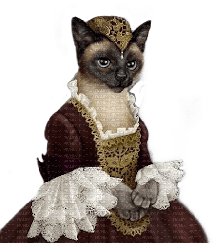 cat queen reine de chat 👸🤴 - Free PNG