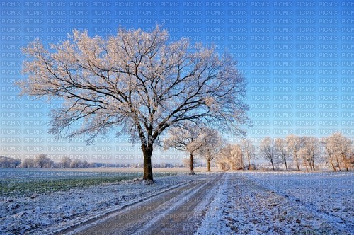 winter nature - Free PNG
