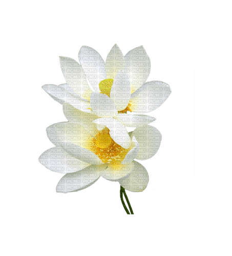 Lotus - Free PNG