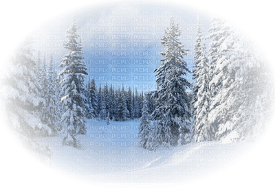 winter hiver paysage landscape forest snow neige fond background - darmowe png