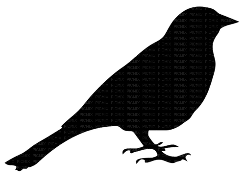 Kaz_Creations Bird-Silhouette - png ฟรี