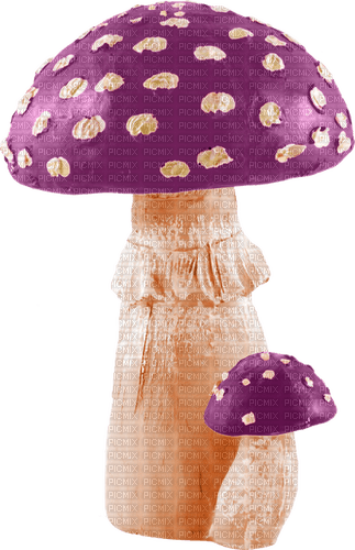Mushroom - ücretsiz png