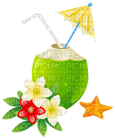 Kaz_Creations Deco Beach Drinks  Summer Exotic Cocktail - Free PNG