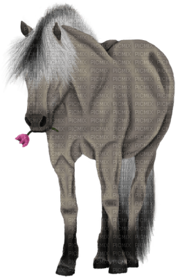Horse - 無料png