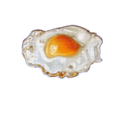 fried egg - Nemokamas animacinis gif