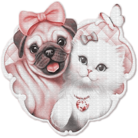soave dog cat animals friends pink - besplatni png