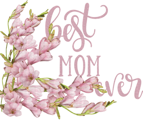 Kaz_Creations Text-Best-Mom-Ever - png grátis