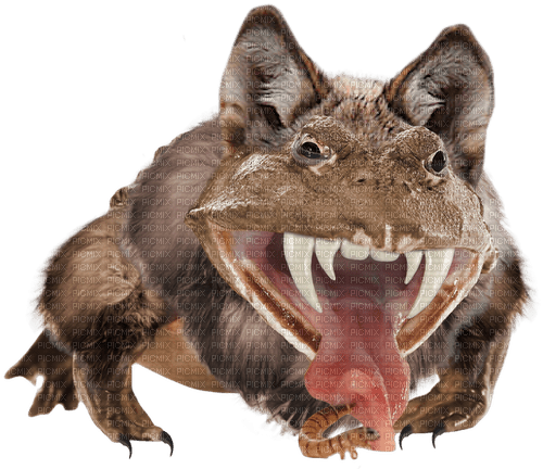 spooky werewolf wolf frog monster for halloween - δωρεάν png