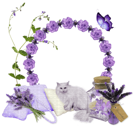 dolceluna flowers cat lavender frame butterfly - 無料png