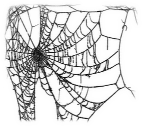 Spiderweb Halloween emo - PNG gratuit
