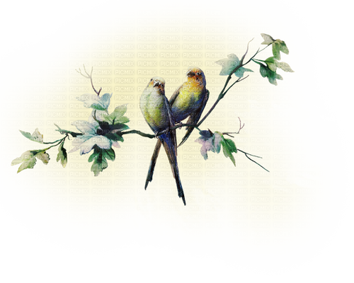 Pájaros en la rama - nemokama png