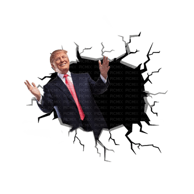 Kaz_Creations Donald Trump - zadarmo png