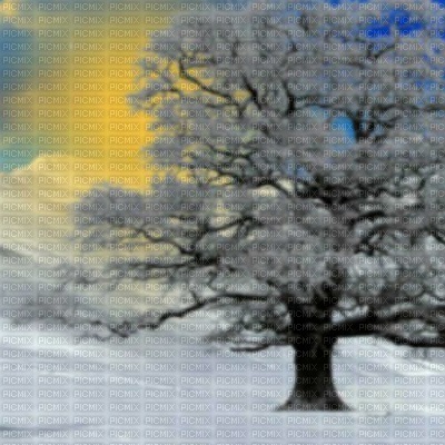 fond hiver background Winter - 免费PNG