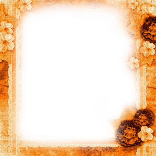 Orange Flowers Frame - By KittyKatLuv65 - ücretsiz png