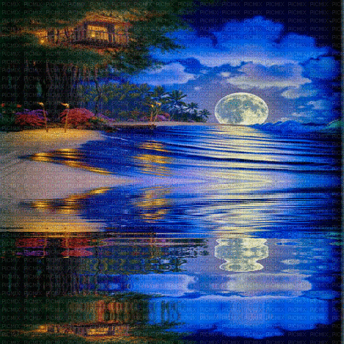 night background by nataliplus - Gratis animeret GIF