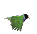 birds katrin - Zdarma animovaný GIF