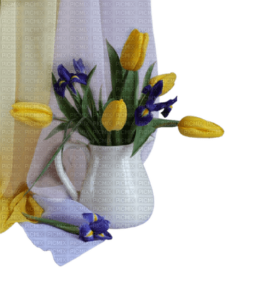 tulipan - ücretsiz png