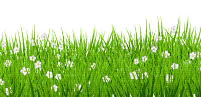 Kaz_Creations Garden-Deco-Grass - zdarma png