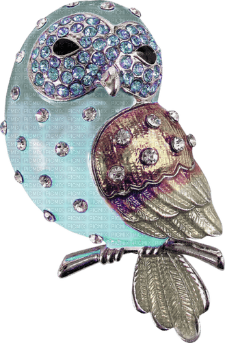 Oiseaux Bleu Bijoux - ücretsiz png