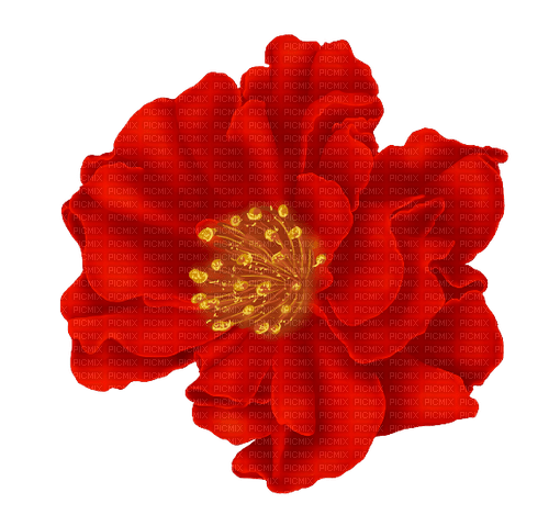 autumn red flower kikkapink - besplatni png