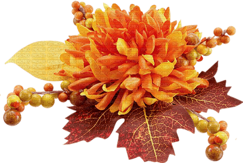 autumn flower by nataliplus - kostenlos png