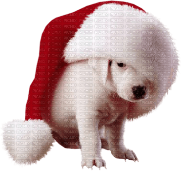 Christmas animals bp - ingyenes png